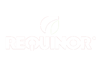 Requinor